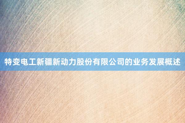 特变电工新疆新动力股份有限公司的业务发展概述